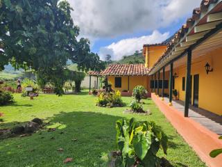Finca la India Cerro Tusa - 5