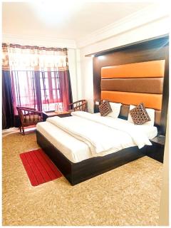 HOTEL PREMIUM AMAR Near ST Francis Church BEST HOTEL IN DALHOUSIE - Dalhousie - 3