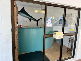 Marlin Court Motel - Paihia - 2