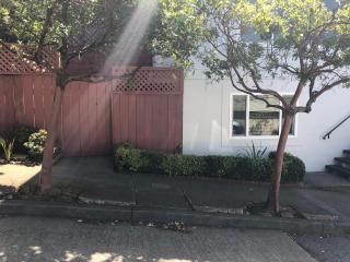 Charming 1 bedroom in law Inner Sunset at UCSF - San Francisco - 1
