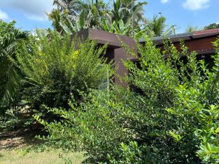The Green Echo Retreat - Kuliyapitiya - 9