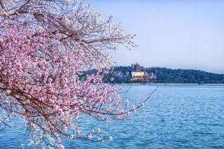 The Less Hot Spring Resort, Xiaotangshan, Beijing - Beijing - 1