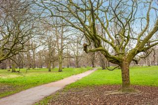 Townhouse Apollo, Hyde Park - Londra - 3