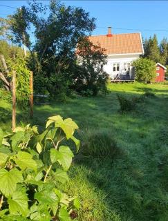 Homestead Holandriver,Lake Skulerud - 6