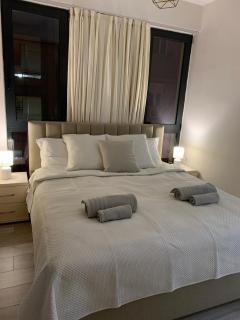 Vila Leon private - Tirana - 8