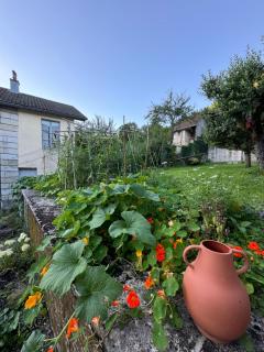 Nouveau I Studio Green I Cour intérieure & Vue imprenable - 1