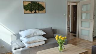 Apartament Leliwa - Centrum - Tarnów - 3