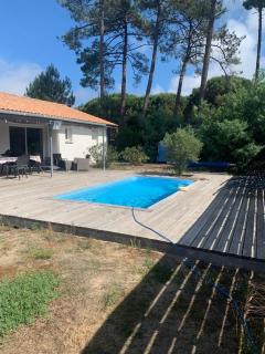 bee free - Montalivet-les-Bains - 1