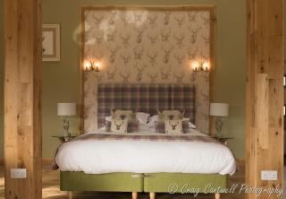 Scots Pine Treehouse - 5