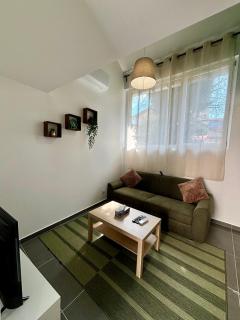 L'appart chic - Roanne - 3