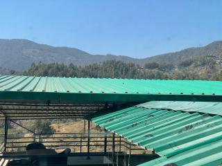 Hilltop Vista homestay - Mukteshwar - 9