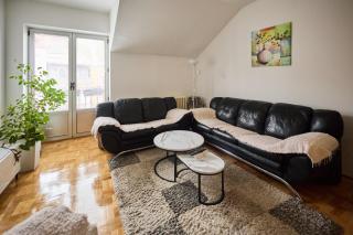 Family&Business 100m2 Apt-CityCenter, Fair & Park - Novi Sad - 9
