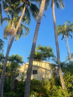 Beach Comber - Port Douglas - 5