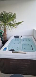Bien design avec jacuzzi et piscine - 8