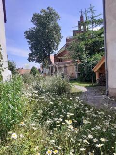 Ferienwohnung Martinsblick - Angermünde - 3