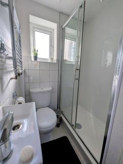 Large Studio with Private Kitchen and Bathroom - Hounslow - 4