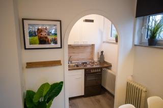 Moderne Ferienwohnung Snow & Bike Winterberg 2-4 Personen direkt am Skilift und in der Nähe des Bikeparks - Winterberg - 3