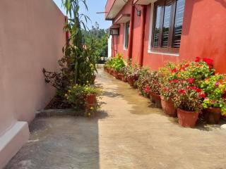 The Pheasant inn - Madikeri - 4