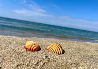 Prestige Affittacamere Paestum - - 9