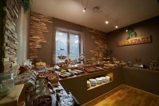 GRAN CHALET Hotel & Petit SPA - Vielha - 1