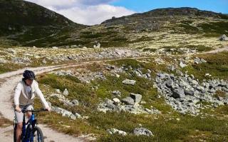 Mountain retreat in Uvdal WIFI SAUNA - 6