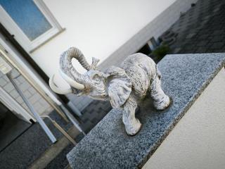Ferienwohnung Elefanten - Balingen - 9