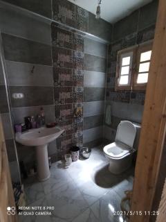 506Ahmed - Alexandria - 2