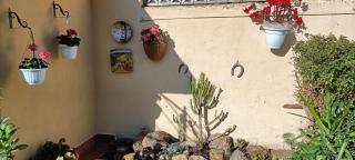 Casa in giardino - Piombino - 3