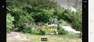 Ferienwohnung Taube Hildesheim - 1