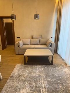 1 bedroom apartment - Sea Breeze White Hotel - Baku - 3