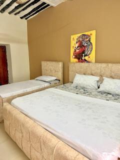 Gallery house - Città di Zanzibar - 0
