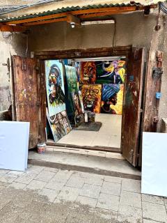 Gallery house - Città di Zanzibar - 2