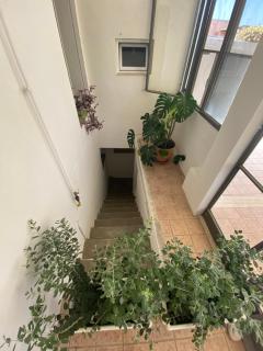 CASA 1960 - Vignacastrisi - 1