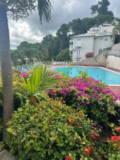 Unbelievable view - Ocho Rios - 3