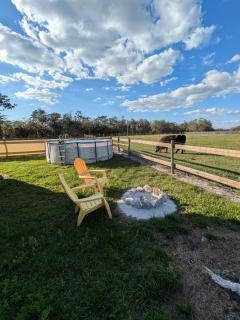Country Cottage on Lake Manatee - 7