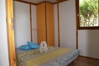 Camping Le Dolium - Laudun - 7
