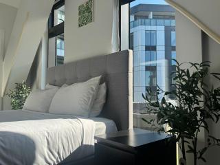 Azeroth - Comfy & Artistic studio in Newmarket - Auckland - 2
