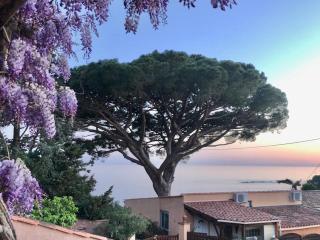 Villa Lilause - Hyères - 7