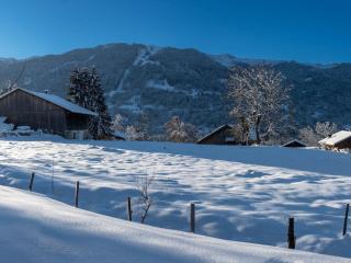 Appartement calme et nature sur les hauteurs de Samoëns - Résidence Les Fermes du Villard - FR-1-629-110 - Samoëns - 2