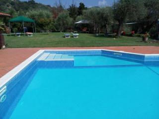 IL CARNASCIALE PIEVE di CAMAIORE - Fienile - 2