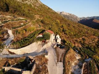 Carpenter Wineyard - - 0
