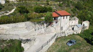 Carpenter Wineyard - 8