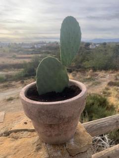 Cueva El Rincón de la Calma - 3