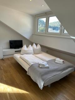 Ferienwohnungen Loft in Telfs - Telfs - 2
