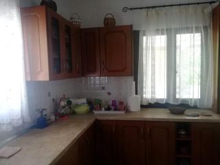 Skyrosfamilyhouses-Dolphins house - - 4