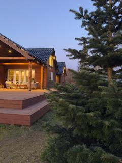Luxury Nature Retreat - Gilleleje - 4