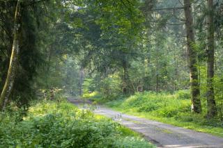Apartment im Luftkurort Kißlegg, frisch renoviert, Balkon, Boxspringbetten, SmartTV, Playstation, Kaffevollautomat, ruhig, familienfreundlich - 4