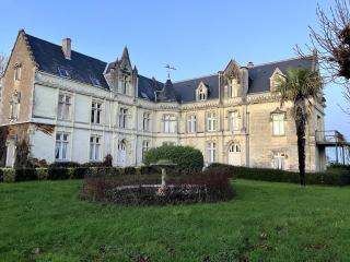 Chateau avec une vue sur la Loire - Chènehutte-les-Tuffeaux - 5