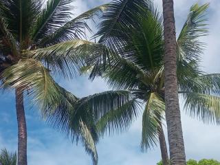 Pousada PARAMBUCO - 6