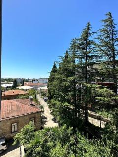 apartment in the city - Kutaisi - 5